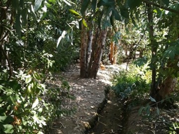 Imagen 20