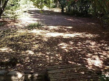Imagen 8
