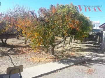 Imagen 25