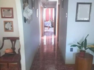Imagen 7
