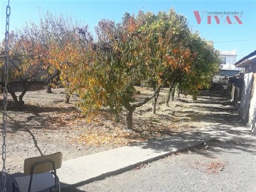 Imagen 30