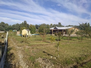Imagen 6