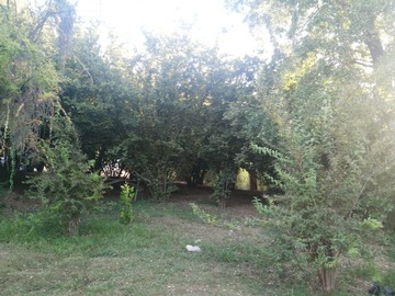 Imagen 12