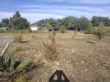 Imagen 11