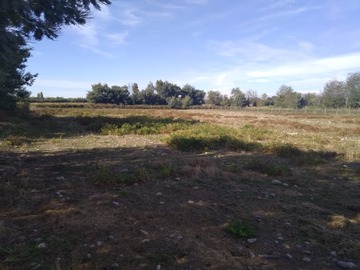 Imagen 7