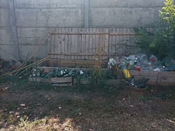 Imagen 6