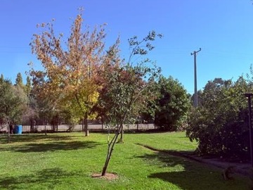 Imagen 24