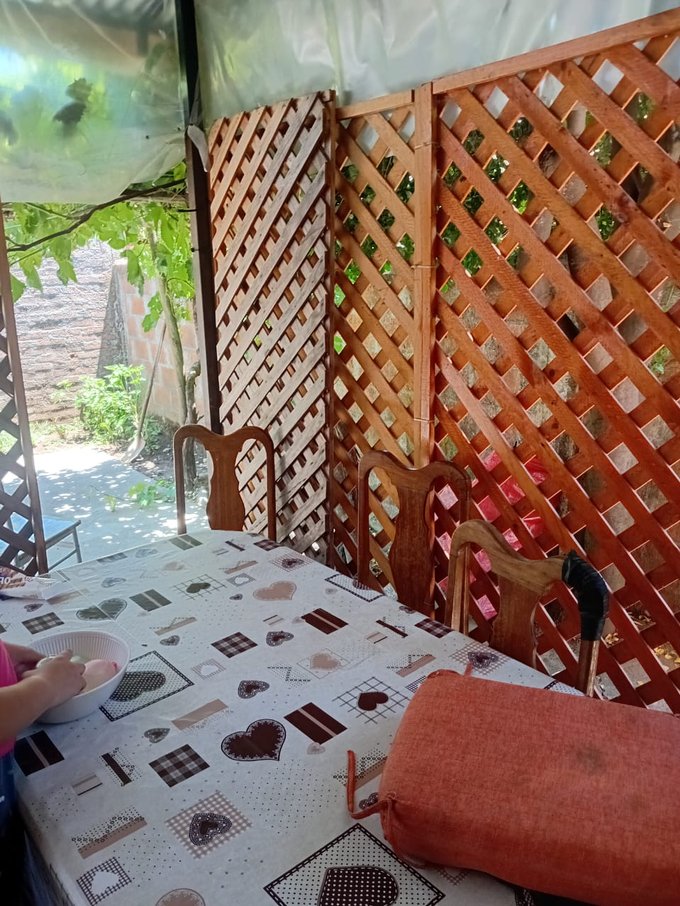 Corredor techado trasero