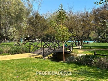 Imagen 26