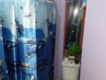 Imagen 8