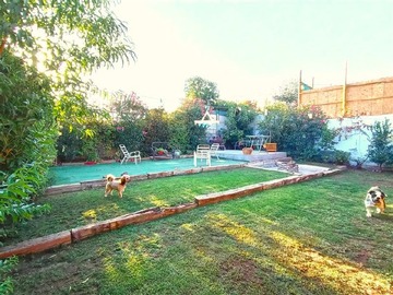 Imagen 26