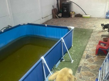 Imagen 5