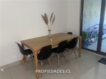 Imagen 13