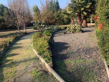 Imagen 19
