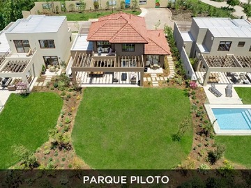 Imagen 7