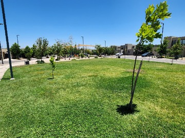 areas verdes condomino