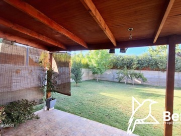 Imagen 19