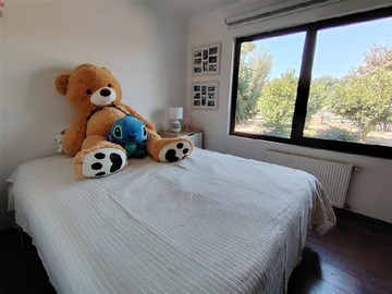 Imagen 8