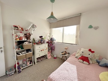 Imagen 12
