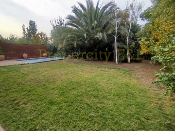 Imagen 7