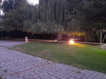 Imagen 12