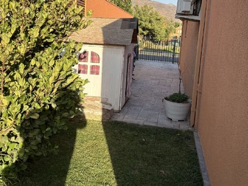 Imagen 19