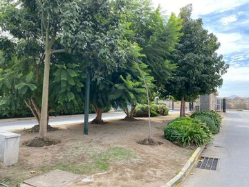 Imagen 20