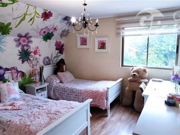 Imagen 5