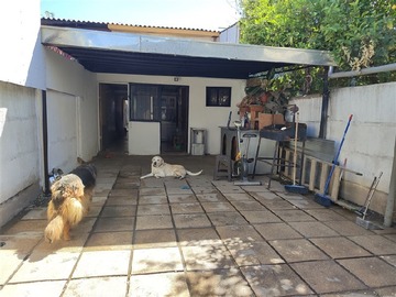 Imagen 11