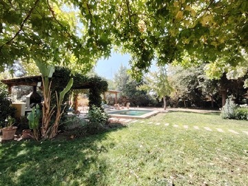Imagen 9