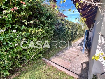 Imagen 25