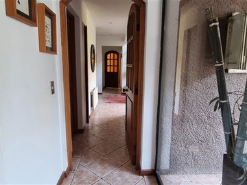 Imagen 7