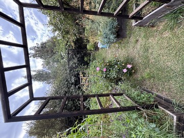 Imagen 9