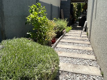 Patio pasillo entre jardines