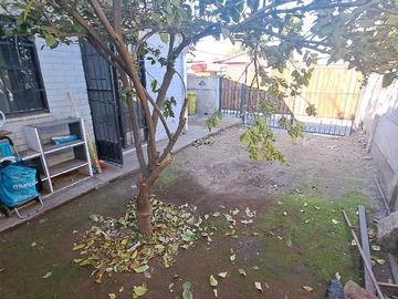 Imagen 20