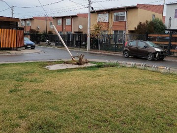 Imagen 18