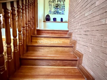 Imagen 20