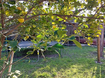 Venta / Casa / Colina