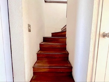 Imagen 15