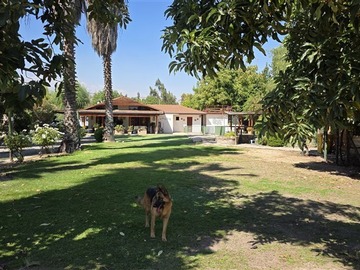 Imagen 4