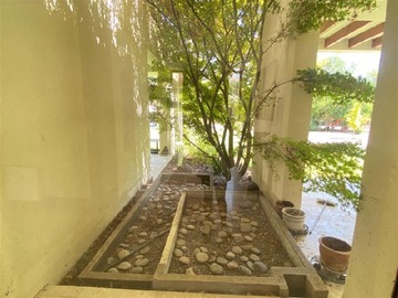 Imagen 6