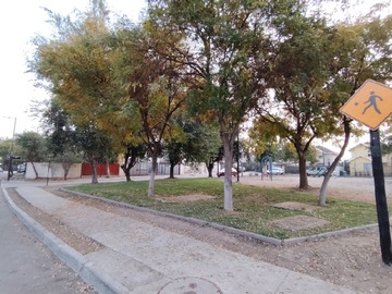 Imagen 29