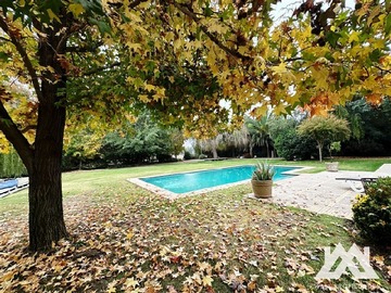Imagen 8