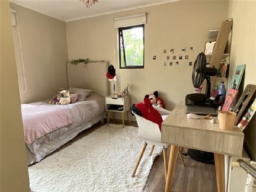 Imagen 8