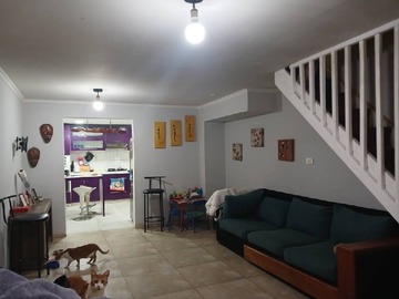 Imagen 6