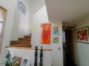 Imagen 8