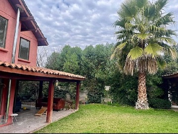 Imagen 19