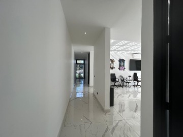 Imagen 12