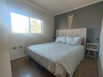 Imagen 14