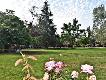 Venta / Casa / Colina